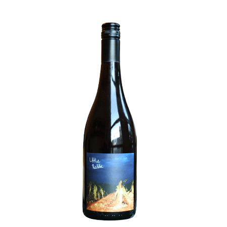 2017 Little Reddie Refosco dal Penduncolo